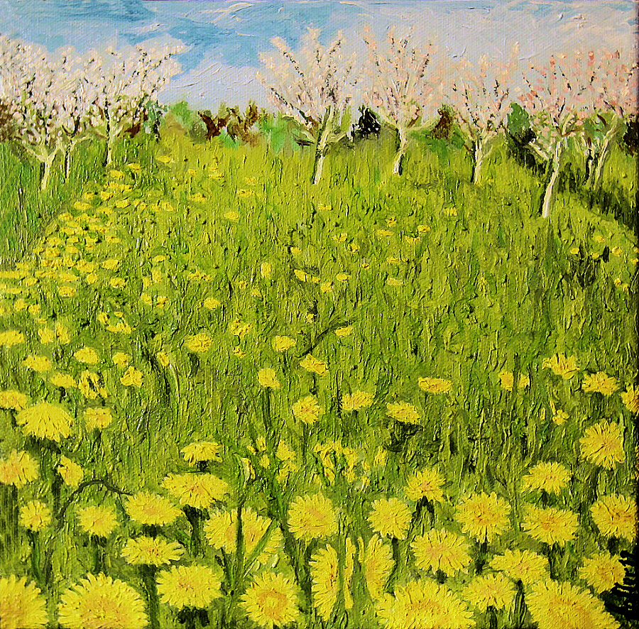 Dandelions