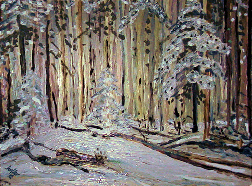 Winter forest